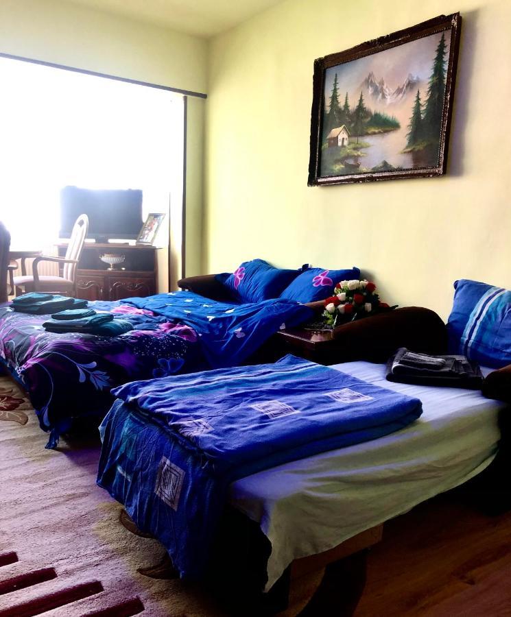 La Symo Apartament Straja Lupeni Lupeni  ภายนอก รูปภาพ