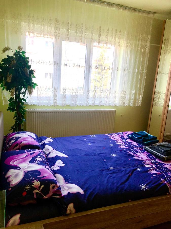 La Symo Apartament Straja Lupeni Lupeni  ภายนอก รูปภาพ